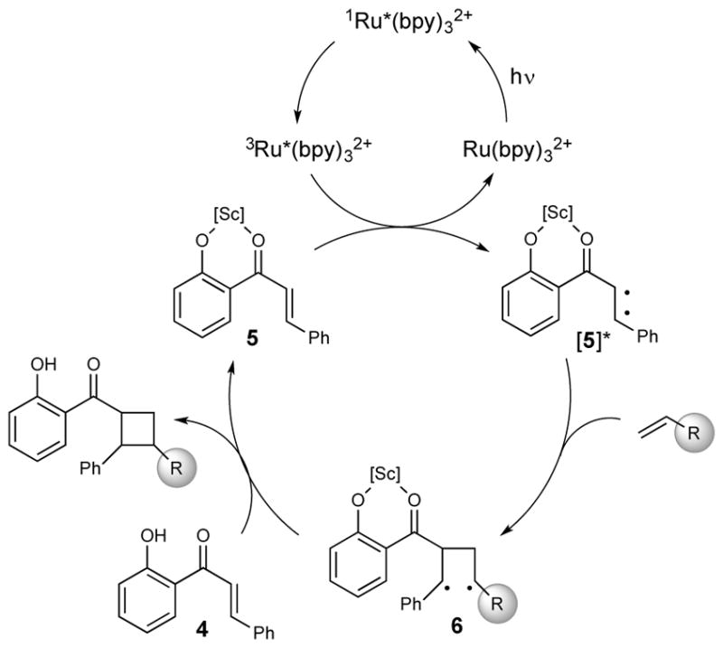 Scheme 1