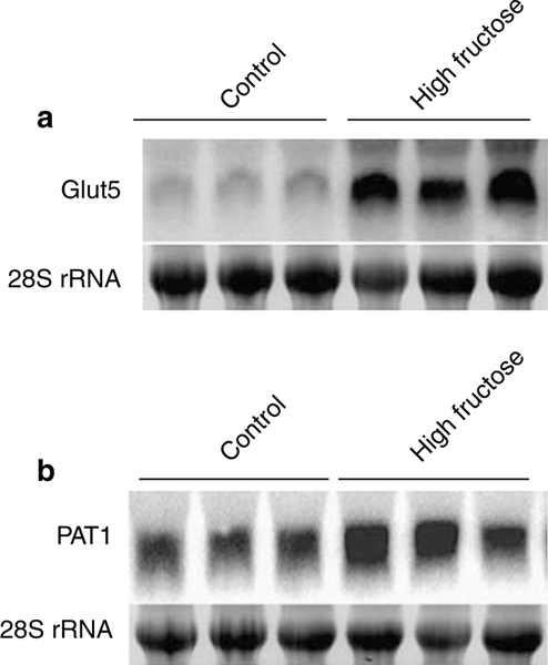 Figure 7 |