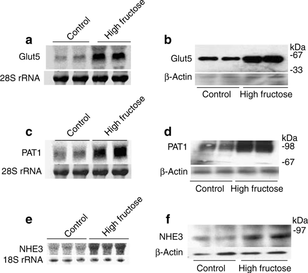 Figure 3 |