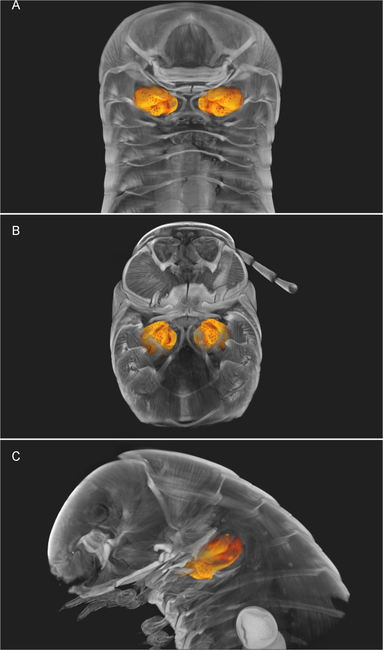 Fig 10