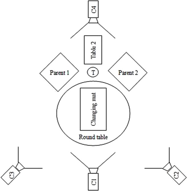 FIGURE 1