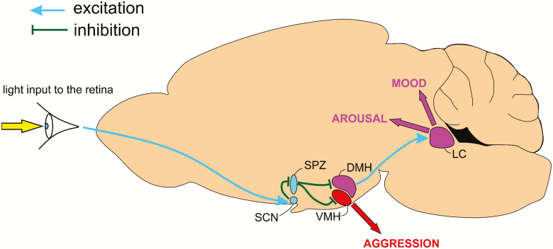 Figure 3.