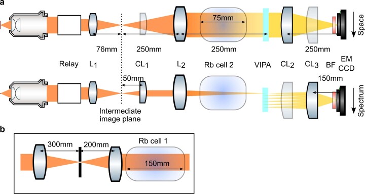 Extended Data Fig. 3