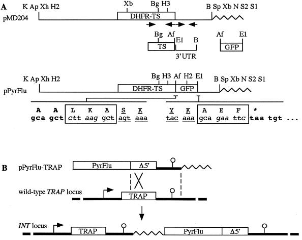 FIG. 1