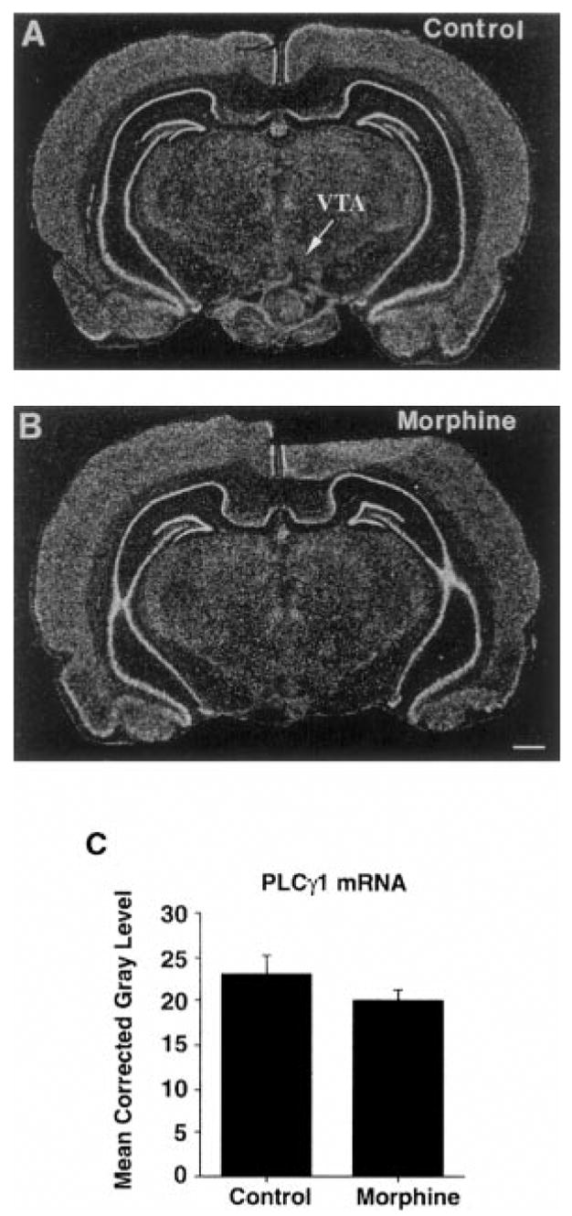 FIG. 5