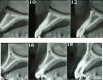 Fig. (2)