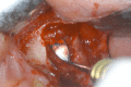 Fig. (9)