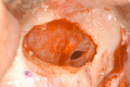Fig. (7)
