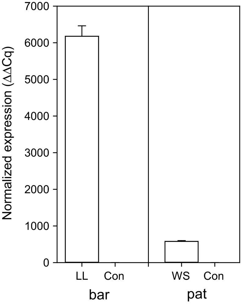 Fig. 1