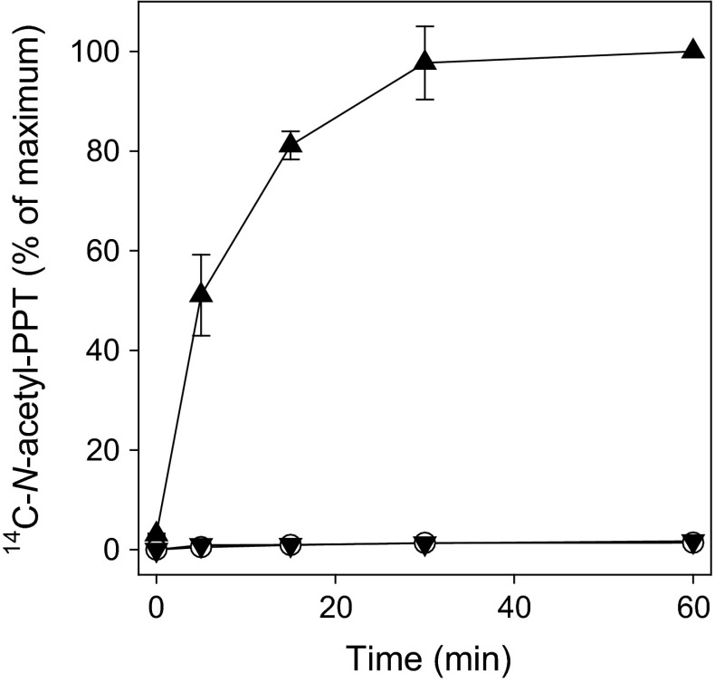 Fig. 2