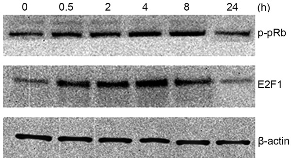 Figure 4.