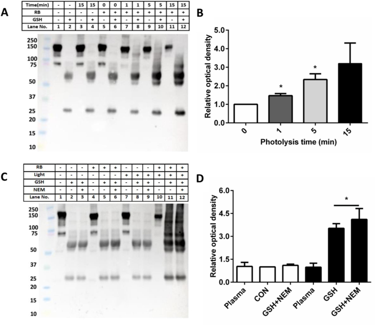 Fig. 11