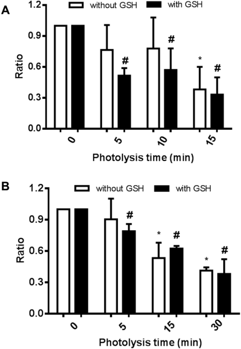 Fig. 9