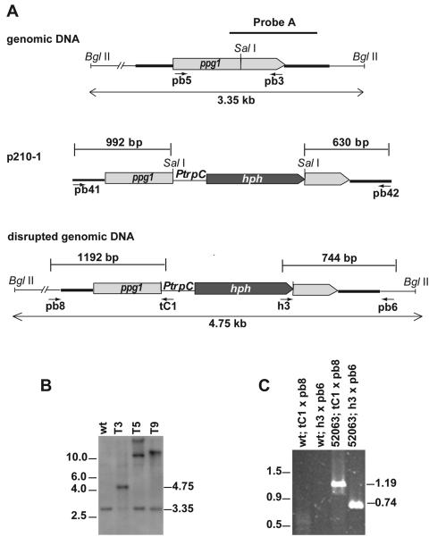 FIG. 5.