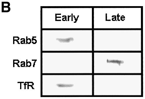 graphic file with name cdg557f7b.jpg