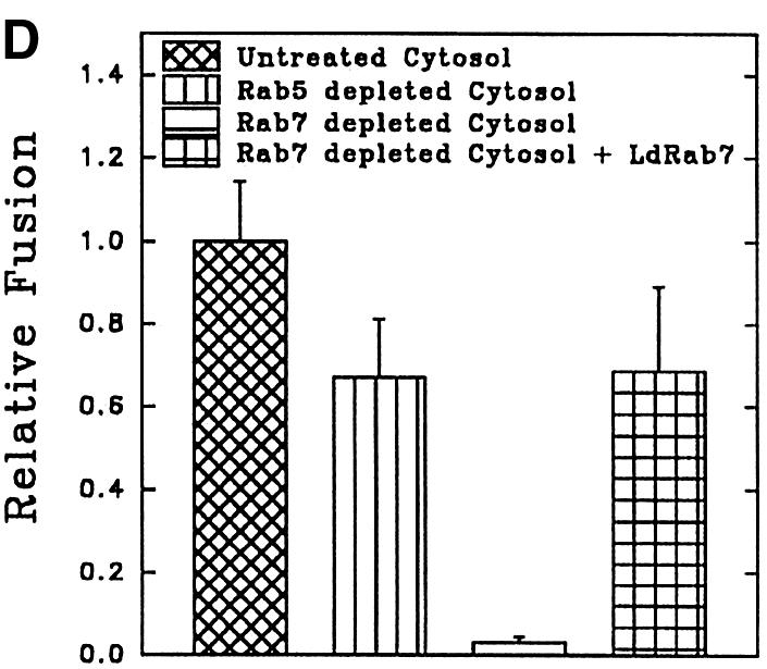 graphic file with name cdg557f7d.jpg