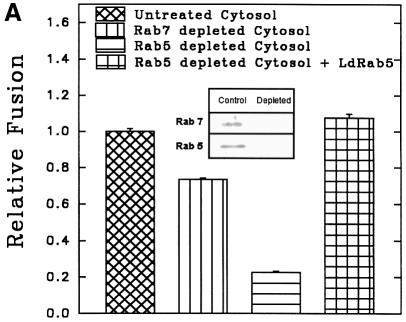graphic file with name cdg557f7a.jpg