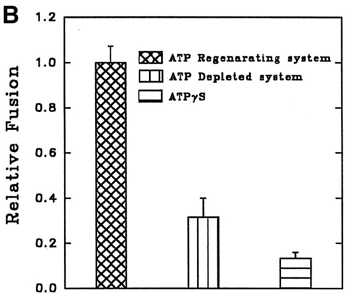 graphic file with name cdg557f5b.jpg