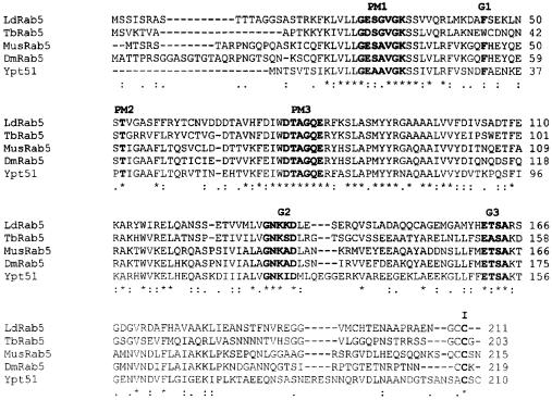 graphic file with name cdg557f1.jpg