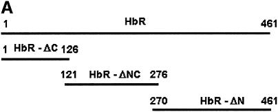 graphic file with name cdg557f8a.jpg