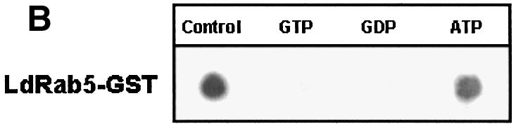 graphic file with name cdg557f2b.jpg