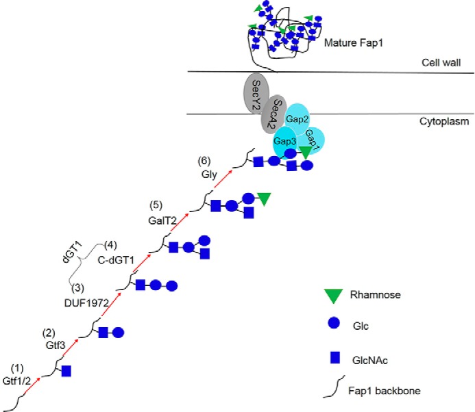 FIGURE 6.