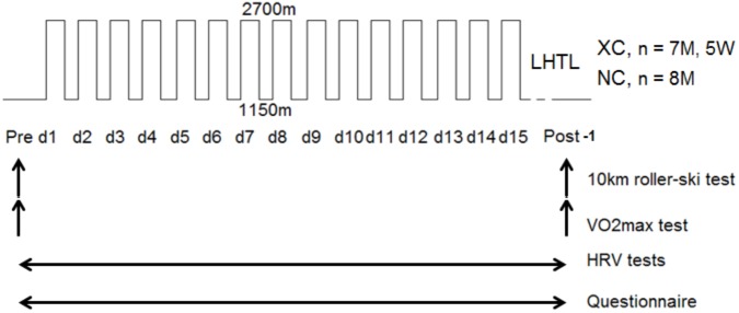 FIGURE 1