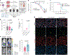 Fig. 4 |