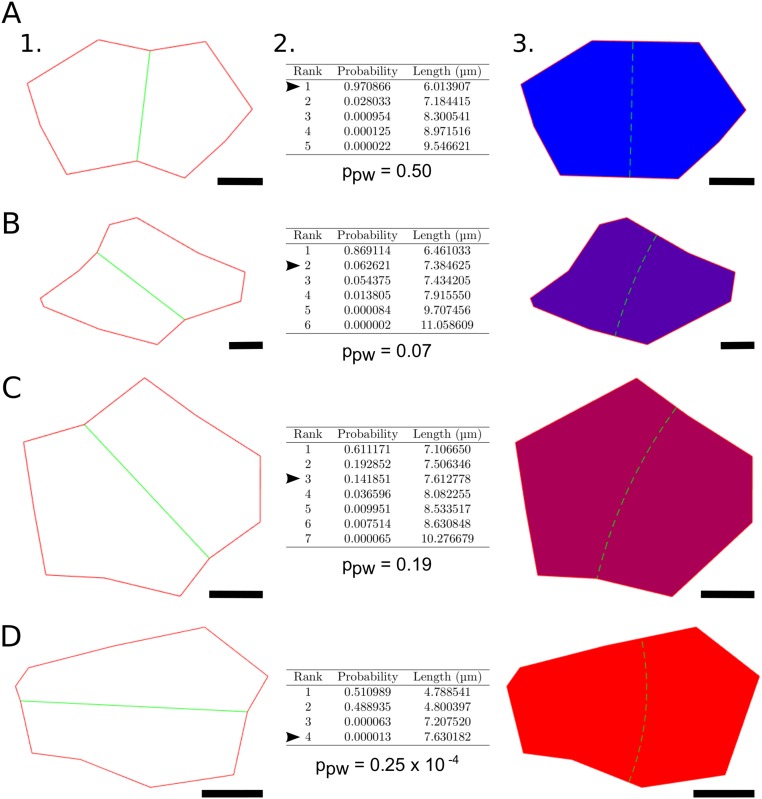 Fig. S3.