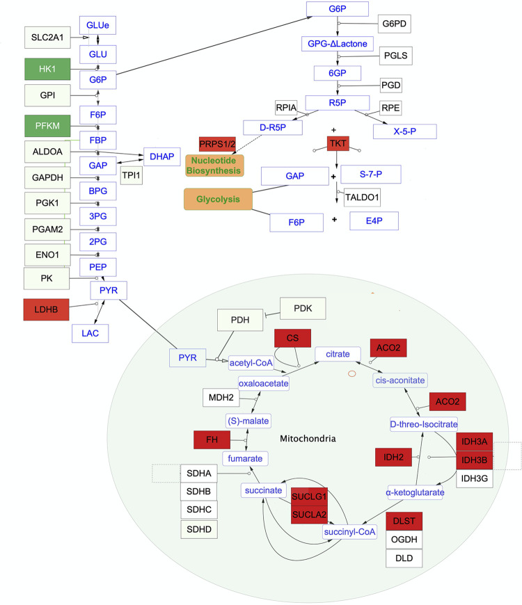 Fig 3