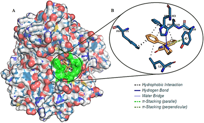 Figure 6