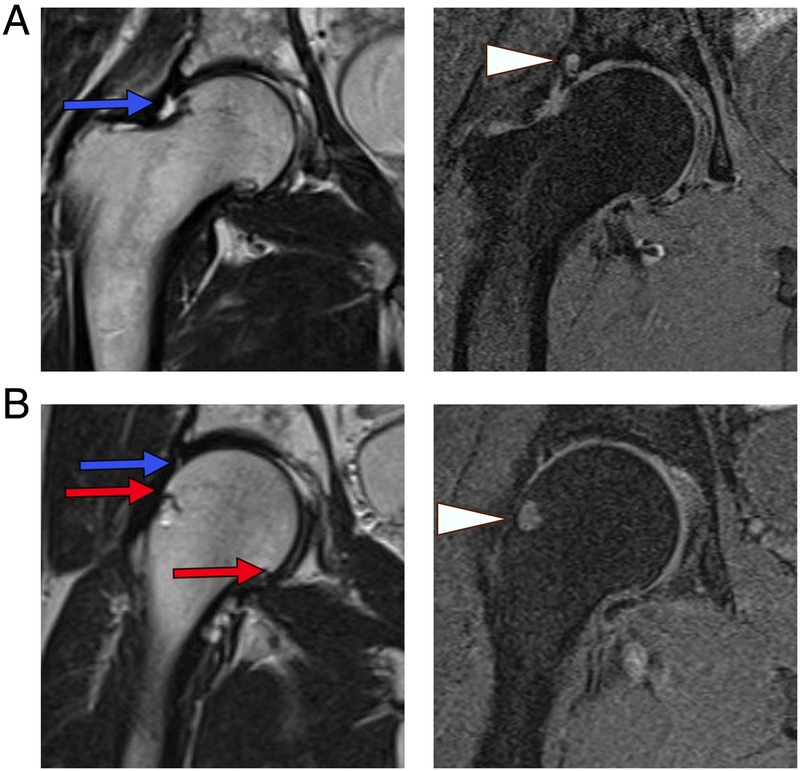 Figure 1