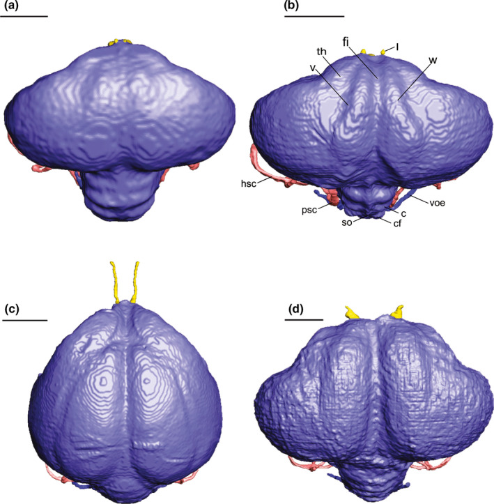 FIGURE 4