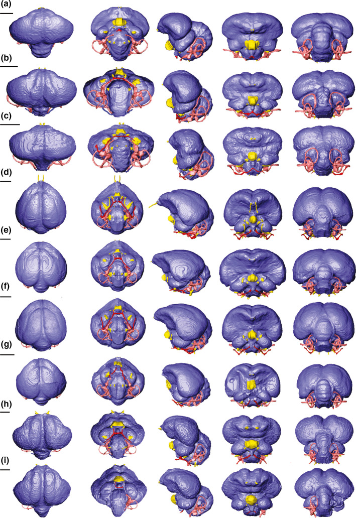 FIGURE 3
