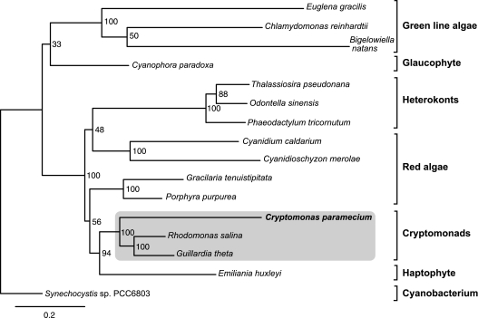 FIG. 4.—