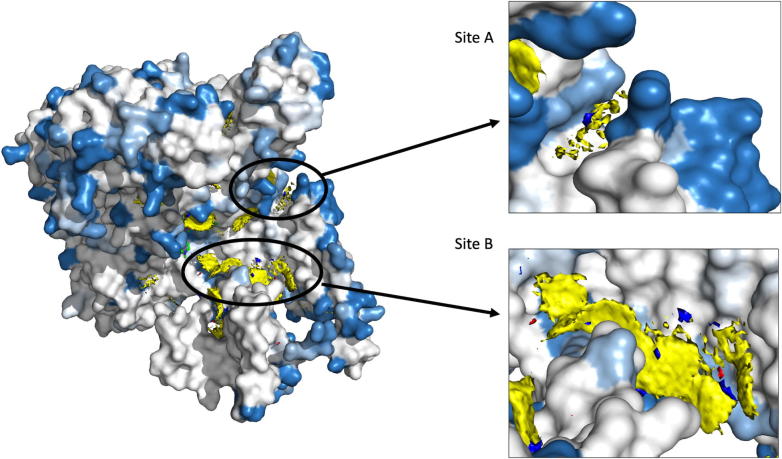 Fig. 11