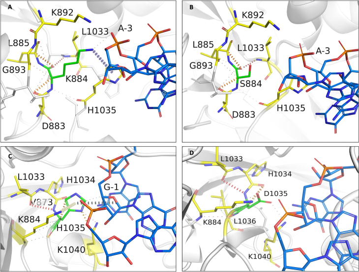 Fig. 9