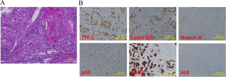 Fig. 2