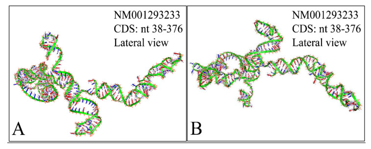 Figure 13