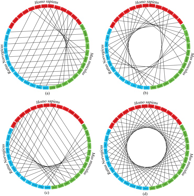 Fig 5