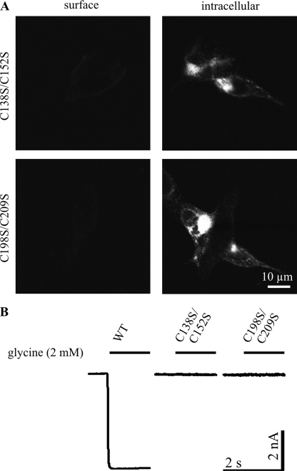 FIGURE 10.