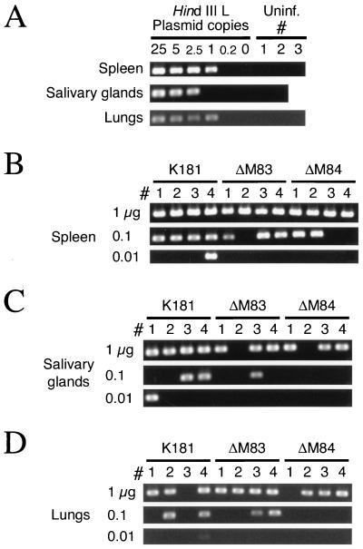 FIG. 11