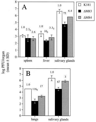 FIG. 10