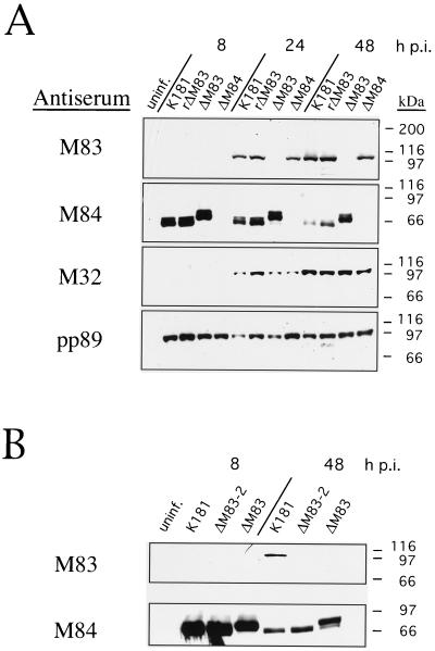 FIG. 7