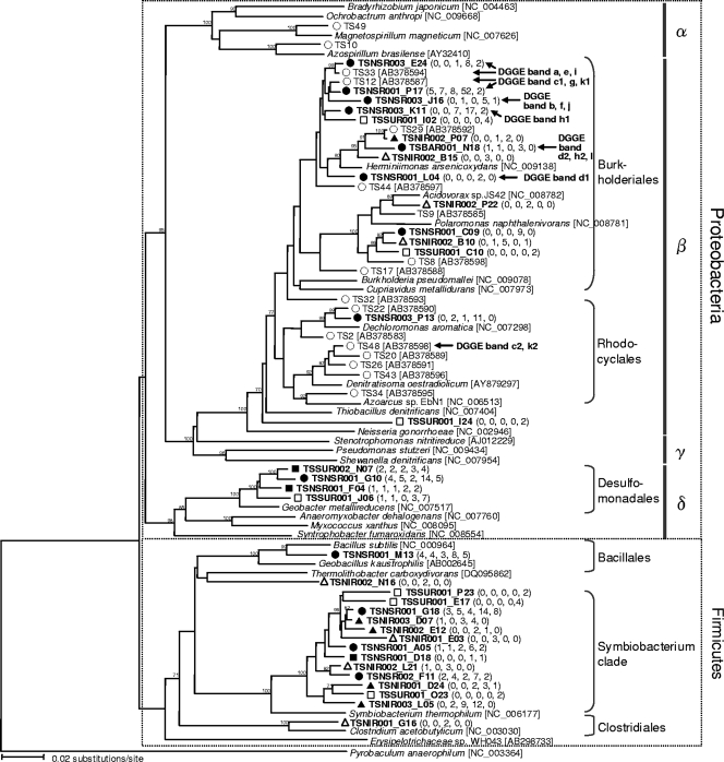 FIG. 5.