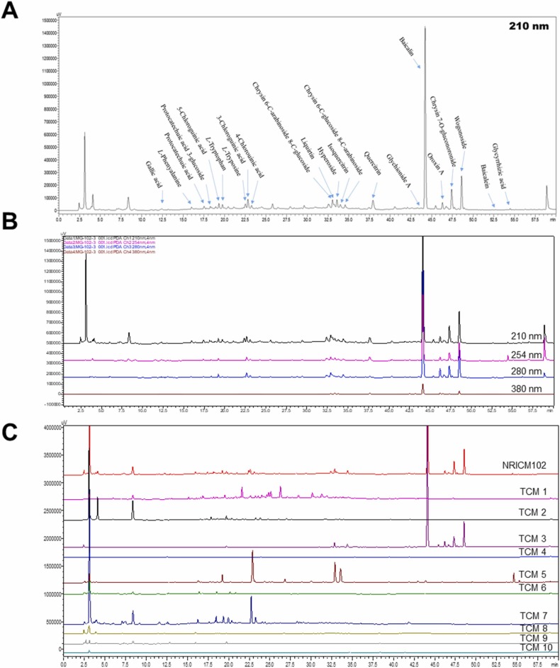 Fig. 11