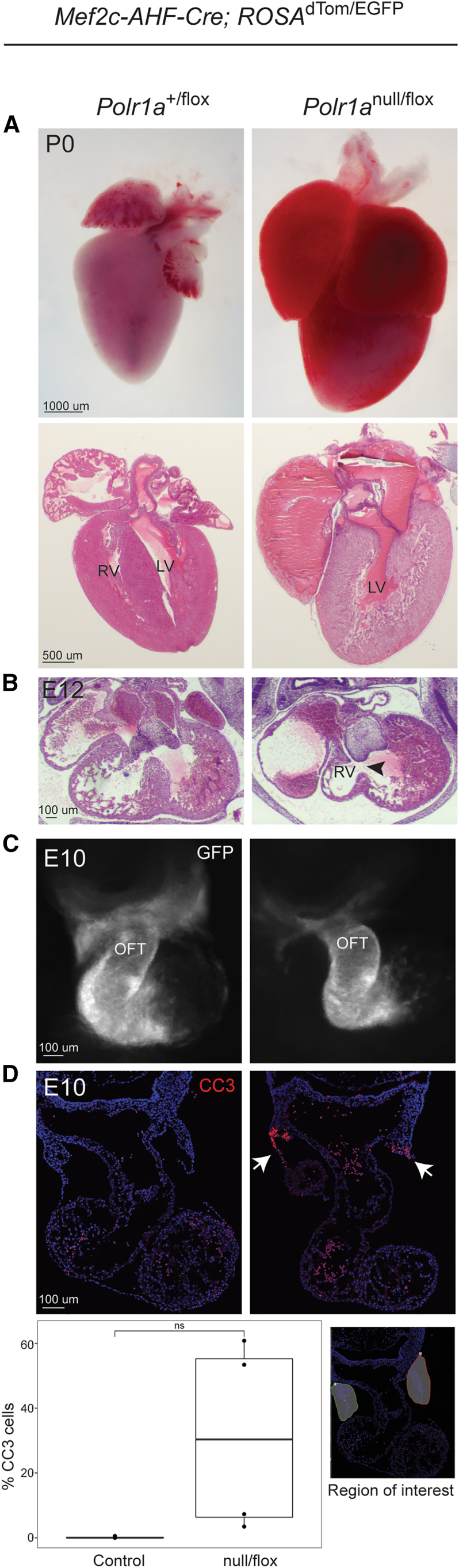 Figure 4