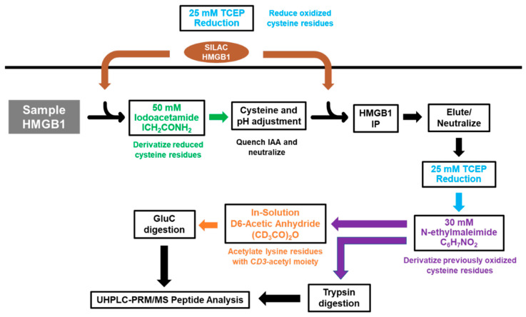 Scheme 2