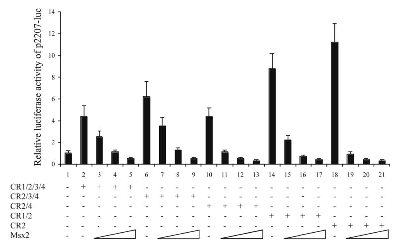 Fig. 2