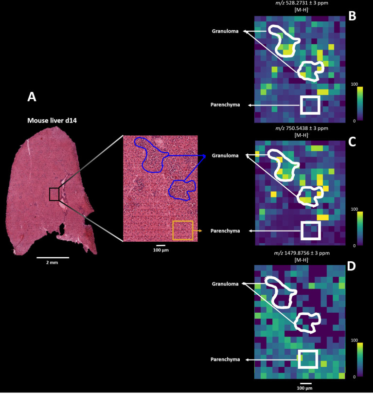 Figure 5